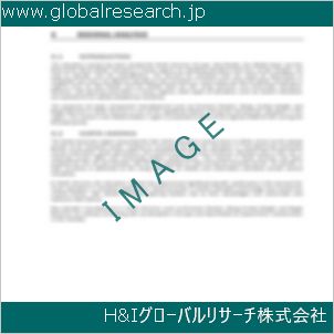 グローバルリサーチ調査資料のイメージ